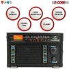 5 Core Portable Radio AM/FM Classic Vintage Battery Operated Radio Retro Transistor Best Reception Antenna Sound 3 Band Indoor and Outdoor Radio T-291