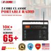 5 Core Portable Radio AM/FM Classic Vintage Battery Operated Radio Retro Transistor Best Reception Antenna Sound 3 Band Indoor and Outdoor Radio T-291